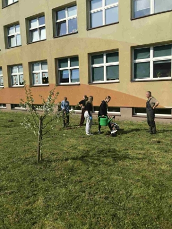Przygotowania terenu
