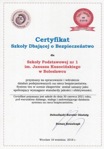 certyfikat19