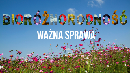 Konkurs ,,Filmeko'' rozstrzygnięty