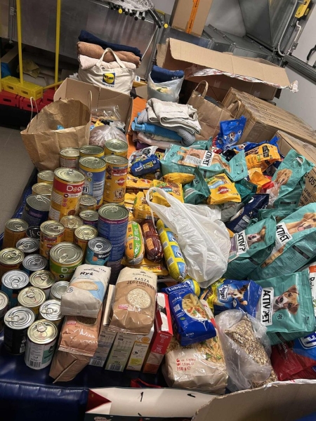 Wolontariat z pomocą dla zwierząt z Przylaska