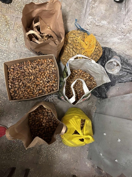 Szkolny Klub Wolontariatu dla Klekusiowa