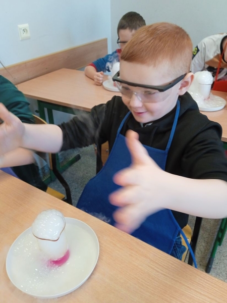 WARSZTATY MŁODEGO NAUKOWCA W KLASACH I - III