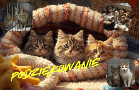 Podziękowania dla uczniów i rodziców za wsparcie kociaków bolesławieckich