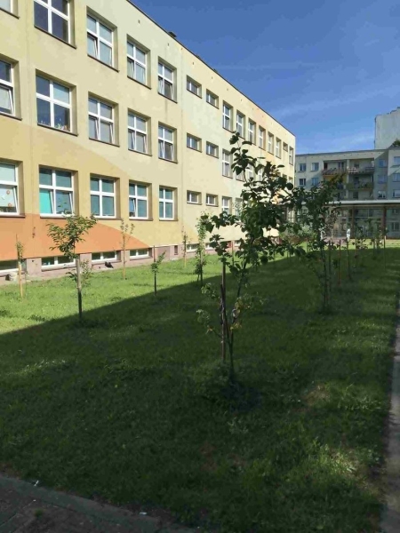 Projekt ,,Tradycyjny sad” - ,,Zielone serce szkoły’’ - 2026
