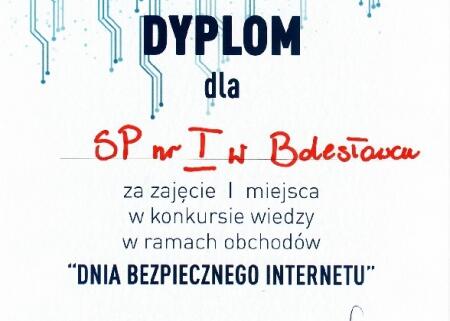BEZPIECZNI W SIECI