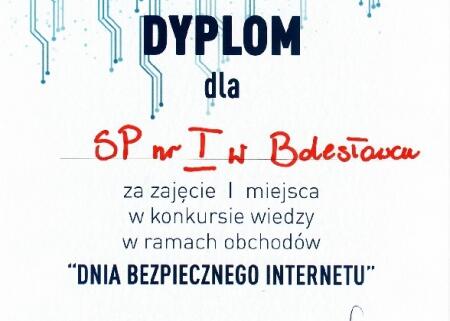 BEZPIECZNI W SIECI