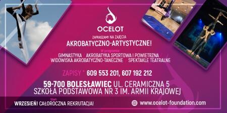 OFERTA ZAJĘĆ ARTYSTYCZNO-AKROBATYCZNYCH